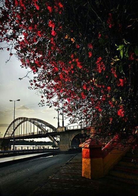 Pol-e Sefid(White Bridge)  Designed by the designer of Eifel Tower  Ahvaz,Iran Ahvaz City, Ahvaz Iran, Tea Story, Beautiful Iran, Blue Flower Wallpaper, Cradle Of Civilization, Ancient Persia, Western Asia, Persian Culture