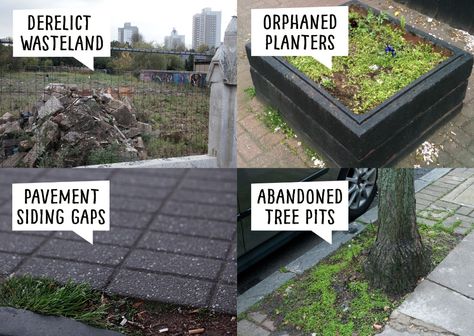 Guerilla Gardening Ideas, Green Anarchy, Eco Punk, Guerilla Gardening, Guerilla Art, Solar Punk, Guerrilla Gardening, Natural Farming, Urban Homesteading