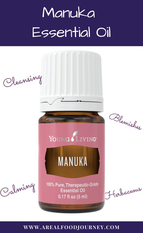 How to use Manuka Essential Oil for skin healthy and calming of the mind! Manuka Essential Oil Benefits, Manuka Oil Benefits, Manuka Essential Oil, Manuka Oil, Coconut Oil Face Mask, Essential Oils For Face, Diy Coconut Oil, Architecture 3d, Yl Oils