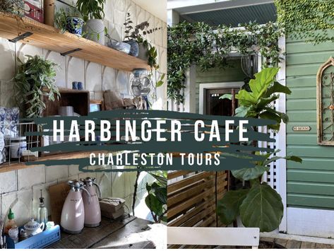 Check out this Insta Worthy Coffee Shop in Charleston! The Harbinger Cafe | MAKING IT WITH THE MATTHEWS | NewsBreak Original Charleston Tours, Charleston Bachelorette Party, Charleston Bachelorette, Boone Hall, Isle Of Palms, Cozy Spot, Fall Festival, Luxury Apartments, Love And Light