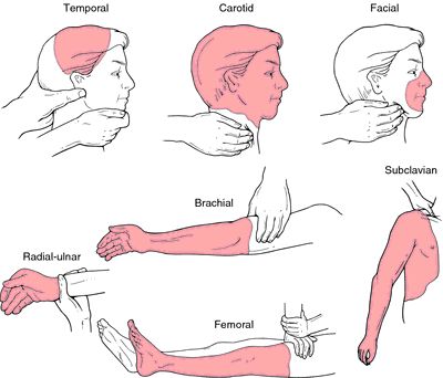 pressure points: a point of extreme sensitivity to pressure. Trening Sztuk Walki, Self Defense Tips, Self Defense Techniques, Martial Arts Techniques, Survival Life Hacks, Ju Jitsu, Martial Arts Workout, Survival Techniques, Survival Life