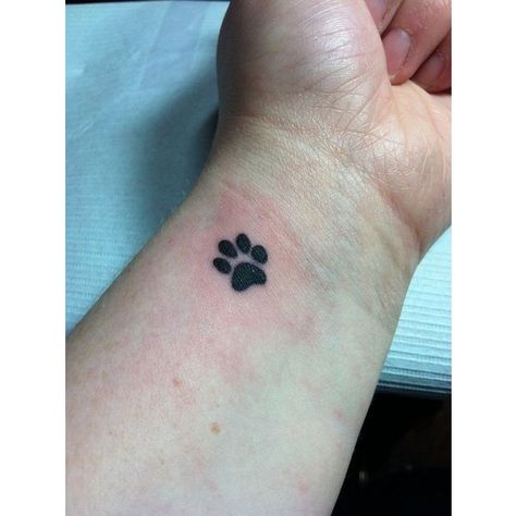 Paw print wrist tattoo! I finally did it. ❤ liked on Polyvore featuring accessories and body art Inner Wrist Tattoos, Pawprint Tattoo, Dog Paw Tattoo, Mom Tattoo Designs, Paw Tattoo, Small Wrist Tattoos, Wrist Tattoos For Women, Tattoo Videos, Cover Up Tattoos