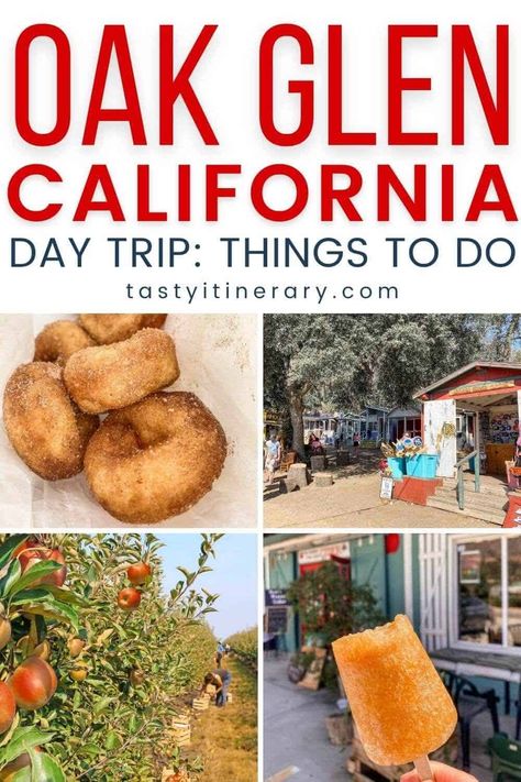 Cool Places In California, Oak Glen California, Los Angeles Day Trips, Fall Apple Picking, Oak Glen, Apple Festival, Apple Donuts, Apple Farm, Berry Picking