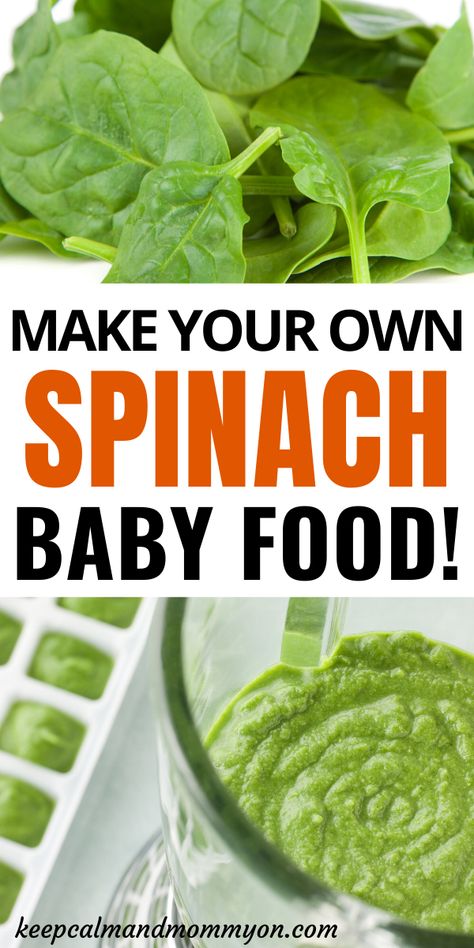 Spinach Baby Food, Homemade Baby Puffs, Avocado Baby Food, Homemade Baby Snacks, Baby Spinach Recipes, Baby Food Recipes Stage 1, Sweet Potato Baby Food, Banana Baby Food, Food Recipes Dinner