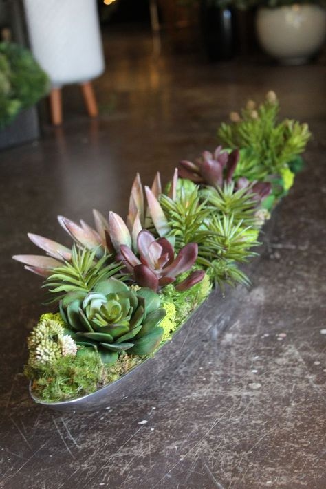 This arrangement is complete with various textures and colors, built with Sweetgrass's soft-touch faux succulents. Faux Succulent Arrangements, Succulent Design, Vase Plant, Succulent Display, Succulent Centerpieces, Succulent Garden Diy, Fake Succulents, Succulents Decor, Silk Plants