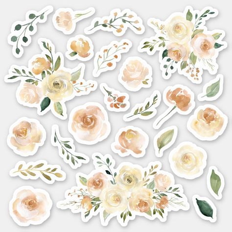 Phone Cover Stickers, Peach Watercolor, Watercolor Roses, Sticker Ideas, Vintage Junk, Vintage Junk Journal, Cream Flowers, Cream Blush, Watercolor Rose