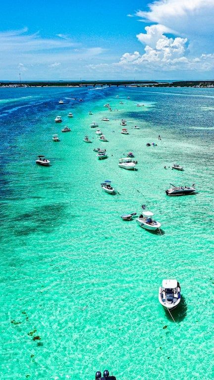 Islamorada Sandbars 2 Islamadora Florida, Islamorada Sandbar, Sandbar Party, Islamorada Florida, Florida Travel Guide, Family Vacay, Marine Ecosystem, Dream Vacations Destinations, Boat Rental