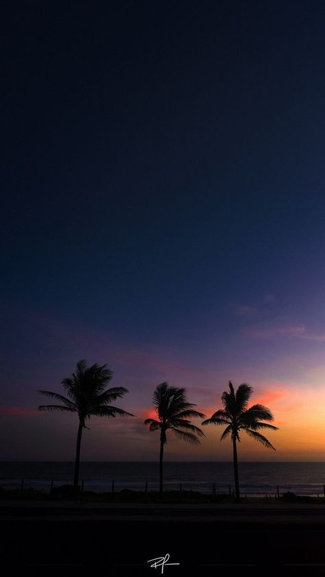 Evening Landscape, Summer Tree, Beautiful Scenery Pictures, Scenery Pictures, Sky Pictures, Nature Summer, Pretty Landscapes, Beach Wallpaper, Sunset Wallpaper