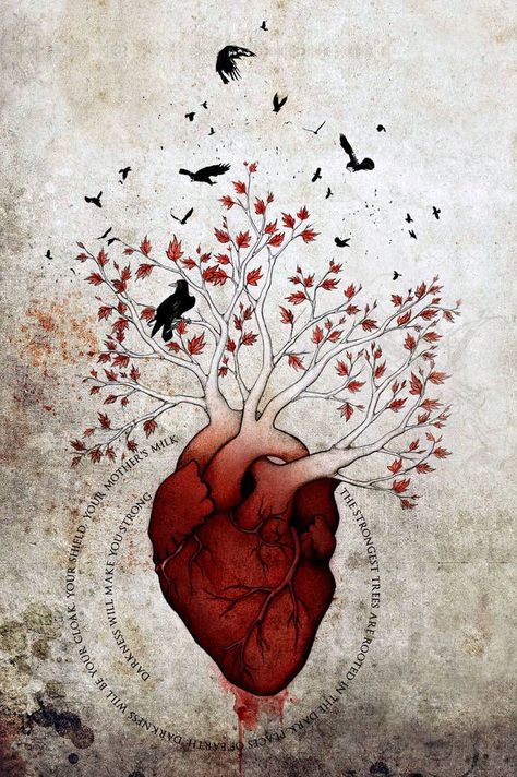 Weirwood by https://www.deviantart.com/wolverrain on @DeviantArt | Anatomy art, Drawings, Heart art Brynden Rivers, Heart Anatomy Drawing, Human Heart Drawing, Anatomical Heart Art, Mother's Milk, Bran Stark, Heart Artwork, A Dance With Dragons, George R R Martin