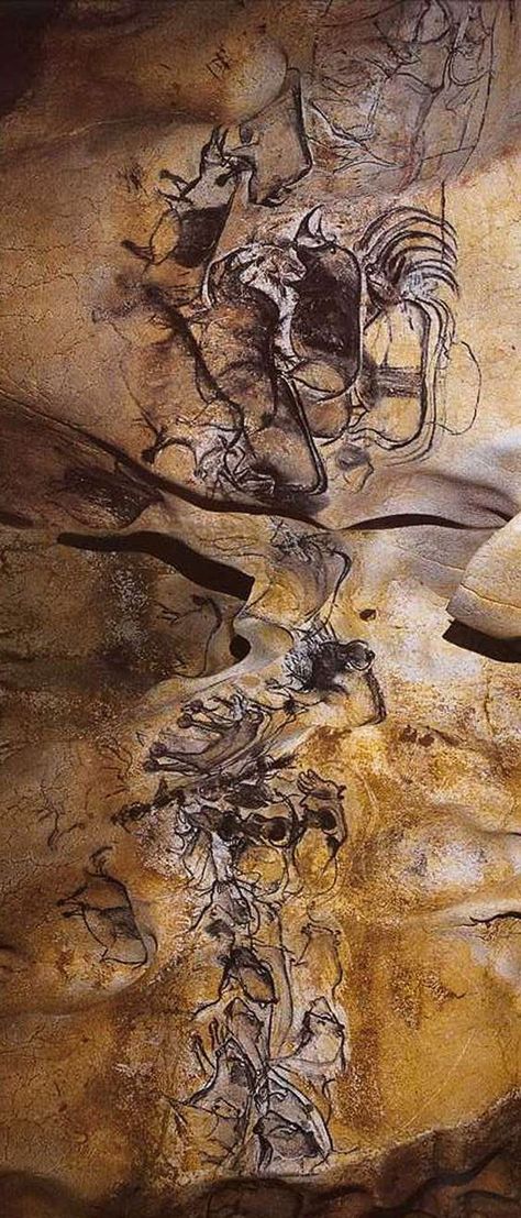 Witness the beauty of history with these ancient cave paintings across the world. Use TripHobo to plan your trip. Prehistoric Painting, Chauvet Cave, Prehistoric Cave Paintings, Paleolithic Art, Cave Drawings, Prehistoric Art, Art Premier, Art Ancien, Cave Paintings