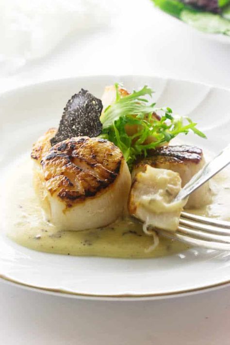 Black Truffle Sauce Recipes, Black Truffle Recipe, Truffle Sauce, Tinned Fish, Plating Ideas, Pan Seared Scallops, Shell Fish, Blackberry Cobbler, Seared Scallops