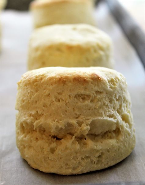 Gluten Free English Scones | Let Them Eat Gluten Free Cake Gluten Free High Tea, Glutenfree Bread, Glutenfri Baking, English Scones, Gluten Free Scones, Gluten Free Bagels, Pan Sin Gluten, Sans Gluten Sans Lactose, Cream Butter