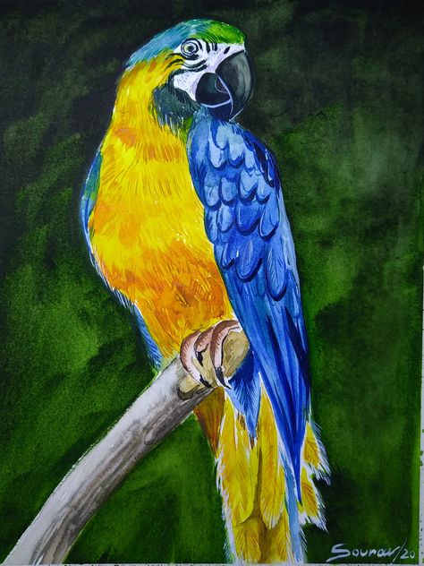 Parrot Colour Pencil Drawing, Indian Parrot Painting, Colour Tutorial, Painting Parrot, Blue Parrot Painting, Colourful Parrot Paintings, Green Parrot Watercolor, Colour Painting, Book Art Drawings