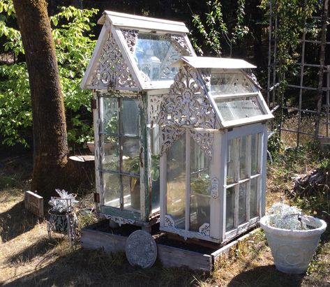 Windows In Garden, Antique Windows Greenhouse, Small Vintage Greenhouse, Small Greenhouse With Old Windows, Small Greenhouse Made From Old Windows, Old Window Greenhouse, Old Window Mini Greenhouse, Windows Repurposed, Window House