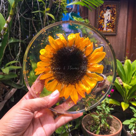 Sunflower Resin Art, Coasters Epoxy, Sunflower Coaster, Diy Resin Art, Diy Resin, Wood Craft, Wire Crafts, Dried Fruit, Resin Diy