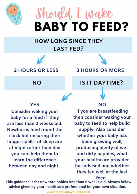 Newborn Feeding Amount, How Much To Feed A Newborn, Feeding Times For Newborns, 4 Week Old Feeding Amount, Newborn Feeding Schedule Formula, Newborn Education, Newborn Knowledge, Routine For Newborn, Baby Charts