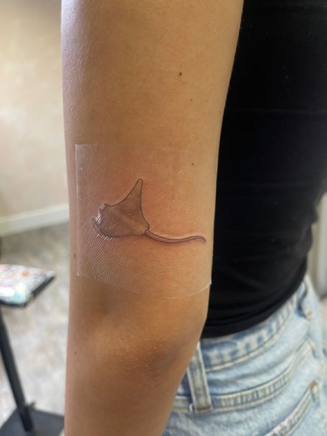 #stingray #tattoo #stingraytattoo #finelinetattoo #mantaray Tattoo Fine Line Ideas, Swimming Fish Tattoo, Cownose Stingray Tattoos, Shark And Stingray Tattoo, Fine Line Stingray Tattoo, Stingray Tattoo Simple, Sting Ray Tattoo Simple, Simple Stingray Tattoo, Stingray Tattoo Design