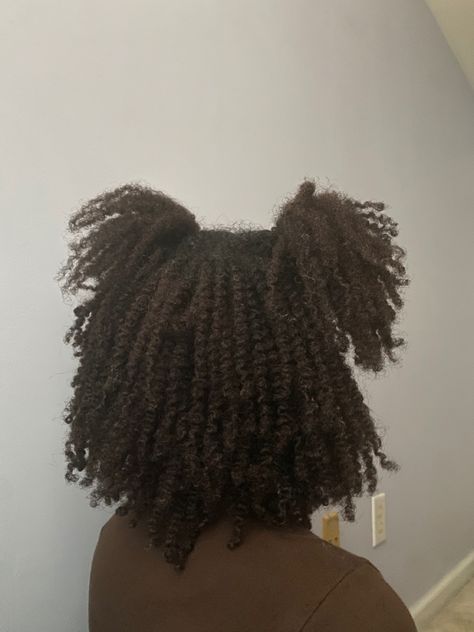 Twists On Natural Hair Hairstyles, Natural Two Strand Twist Styles, 4c Twist Out Hairstyles, Black Hairstyles Natural Hair, Twist Out Hairstyles, Twist Outs On Natural Hair, Braid Out Natural Hair, Twist Out Styles, Natural Protective Styles