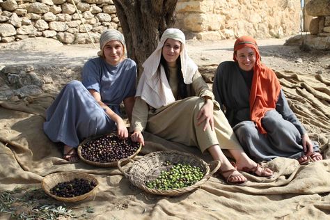 Reanactors at Nazareth Village, showing what life was during the time of Jesus of Nazareth more than 2,000 years ago.  These three ladies are picking olives. Nazareth Vbs, Nazareth Village, Biblical Scenes, Bethlehem Christmas, Jesus Of Nazareth, Jesus Book, What Is Life, Set Design Theatre, Luke 2