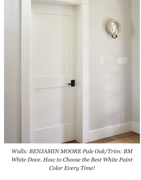 White Trim Neutral Walls, Contrast Trim And Doors, White Walls Painted Doors, Interior Door Colors Ideas Modern, Door Iron Design, Door And Trim Colors, Beige Walls White Trim, Pvc Door Design, Impact Front Door