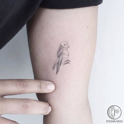 Tiny Frida Kahlo's Parrot Tattoo by poonkaros Parakeet Tattoo Black And White, Budgie Tattoo Minimalist, Fine Line Parrot Tattoo, Tiny Parrot Tattoo, Small Parrot Tattoo, Budgie Tattoo, Parrot Tattoo Design, Parakeet Tattoo, Black And Grey Tattoo Design