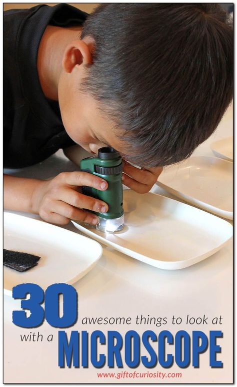 30 awesome things for kids to look at with a microscope || Gift of Curiosity Things To Look At Under A Microscope, Nature Science Activities For Kids, Microscope Activities For Kids, Microscope Experiments, Microscope Activity, Microscope For Kids, Biology For Kids, Microscope Kids, Things For Kids