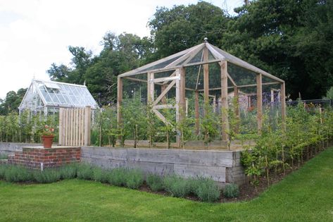 Before & After: A Kitchen Garden in Sussex, England - Gardenista Enclosed Garden Structures, Backyard Garden Layout, Sussex England, Vegetable Garden Diy, Potager Garden, Sloped Garden, Garden Design Plans, Veg Garden, Garden Pictures