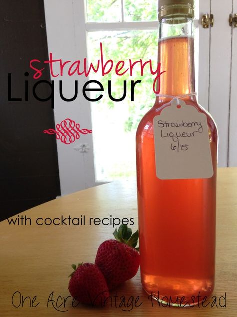 Homemade Strawberry Liqueur - One Acre Vintage Homestead Recipe Strawberry Liquor, Strawberry Infused Vodka, Apple Pie Moonshine Drinks, Vintage Homestead, Liqueur Recipes, Banana Extract, Drunken Sailor, Infused Liquors, Strawberry Liqueur