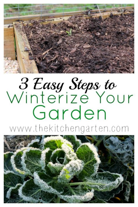 Winterize your garden in three easy steps! You'll be glad you did when spring arrives! Winterizing Raised Garden Beds, Winterize Garden, Fall Gardening, Container Garden Design, Herb Garden Design, Herb Gardening, Survival Gardening, Green Things, Summer Vegetable