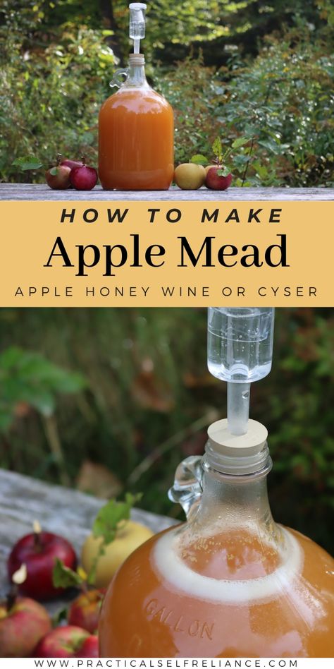 Apple Mead Recipe 1 Gallon, Cyser Recipe, Mead Recipe 1 Gallon, Homemade Mead, Mead Brewing, Viking Recipes, Mead Recipes, Homemade Liqueur, Homemade Wine Recipes