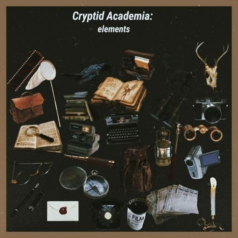 Elitist Aesthetic, Cryptic Academia, Cryptid Academia, Paradis Sombre, Cryptidcore Aesthetic, Paranormal Aesthetic, Academia Aesthetics, Chaotic Academia, Different Aesthetics