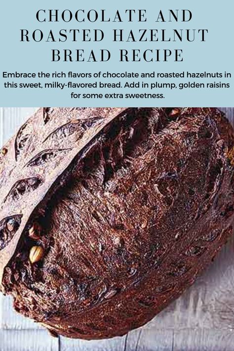 Chocolate Artisan Bread, Chocolate Yeast Bread, Roasted Hazelnut Recipes, Chocolate Hazelnut Bread, Chocolate Sourdough Bread, Hazelnut Bread, Gourmet Bread, Chocolate Sourdough, Chocolate Bread Recipe