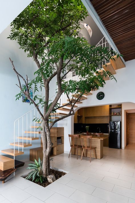 Narrow House Designs, Indoor Tree, Courtyard Design, Indoor Trees, Narrow House, Casa Vintage, Patio Interior, Tropical House, House Stairs