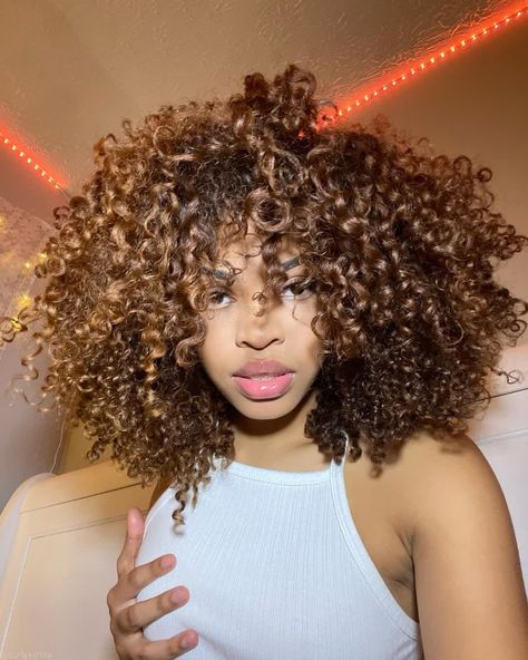 Light Brown Curly Hair Black Women, Hair Goal, Dyed Curly Hair, Natural Curly Hair Cuts, Highlights Curly Hair, Curly Hair Braids, Honey Brown Hair, Brown Curly Hair, Cute Curly Hairstyles