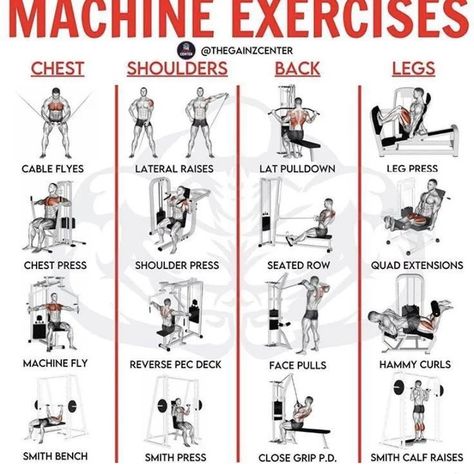 Machine Exercise Check out link in bio . . . . Credit 👉 @thegainzcenter ©All rights reserved by respective… | Instagram Starter Workout Plan, Circuit Workout Gym, Weight Machine Workout, Mexican Illustration, Starter Workout, Gym Weights Workout, Appetizer Decoration, Gym Workouts Machines, Core Workout Gym