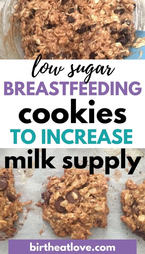 breastfeeding cookies with no brewer's yeast Lactation Cookies With Brewers Yeast, Keto Lactation Cookies, Oatmeal Cookies For Breastfeeding, Lactation Drinks, Bf Tips, Lactation Oatmeal, Postpartum Snacks, Lactation Treats, Dairy Free Lactation Cookies