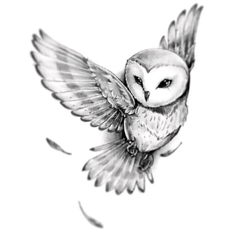 Lovely beautiful gray owl. Style: Black and Gray. Color: Gray. Tags: Cute, Beautiful Mexican Owl Tattoo, Owl Arm Tattoo, Owl Tattoo For Women Unique, Barn Owl Tattoo, Face Sketches, Owl Tattoo Drawings, Realistic Face, Nerdy Tattoos, Owl Tattoo Design