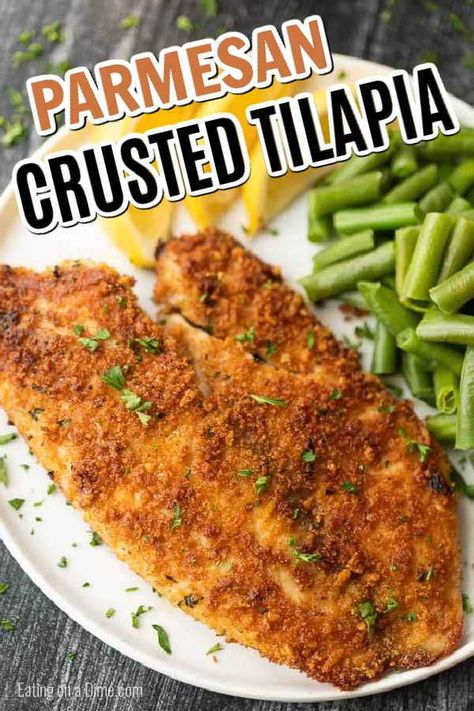 Talipia Recipes Pan Seared, Tilapia Fried Recipes, Tilapia Recipes With Rice, Tilapia Recipes Parmesan Crusted, Parm Crusted Tilapia, Parmesan Crusted Tilapia Pan Fried, Pan Fried Tilapia Crispy, Low Calorie Tilapia Recipes, Tilapia Recipes Fried