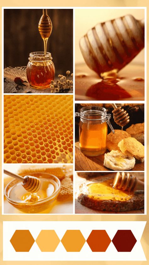 A moodboard and a colour scheme of honey. Honey Colour Palette, Honey Color Aesthetic, Bee Moodboard, Honey Color Palette, Honey Moodboard, Beehive Pictures, Honey Branding, Bee Aesthetic, Honey Aesthetic