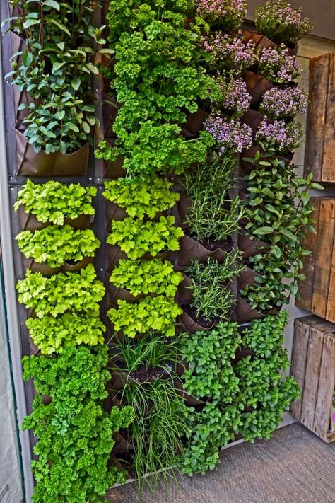 Do you have little to no gardening space? No problem! All you need are these garden ideas for small spaces to enjoy an amazing garden. Decorate Backyard, Backyard With Garden, Handstand Poses, Outdoor Herb Garden, Yoga Handstand, Vertical Garden Design, Vertical Herb Garden, Beginners Yoga, Acro Yoga