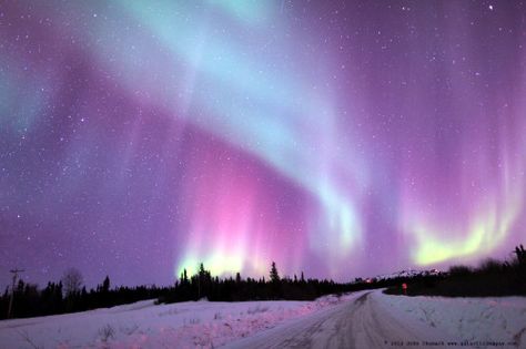 Aurora Borealis 03-21-2014 Canon 5D, Mark II, ISO 800 to 3200, 24mm F1.4 Lens, 5 sec to 15 second exposures. Northern Lights Wallpaper, Alaska Northern Lights, All The Bright Places, Scenic Pictures, Aurora Borealis Northern Lights, Lit Wallpaper, Purple Sky, The Aurora, Laptop Wallpaper