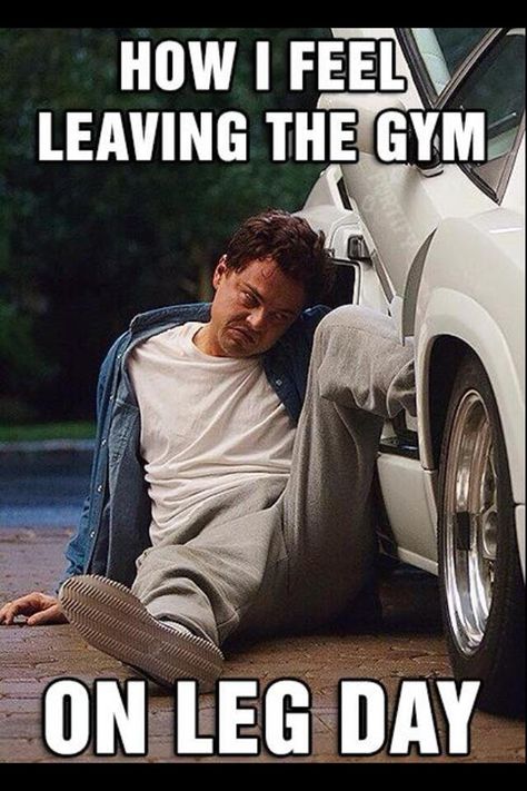 Leg Day Quotes, Leg Day Memes, After Leg Day, Jordan Belfort, The Wolf Of Wall Street, Septième Art, Ju Jitsu, Wolf Of Wall Street, Leo Dicaprio