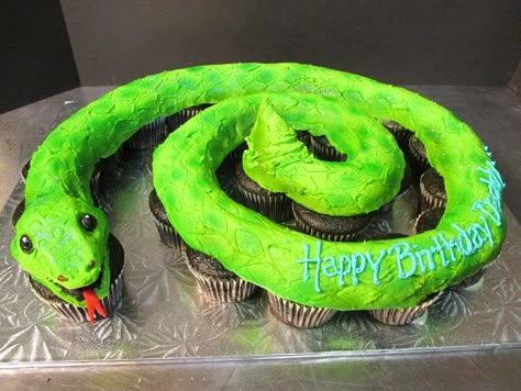 Cake Decorating For Boys, Snake Cupcakes, Pull Apart Cakes, Cupcake Pull Apart, 28th Birthday Cake, Snake Cake, Snake Cakes, Snake Birthday, Snake Party