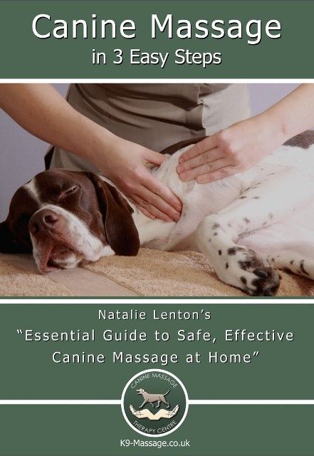 Canine Anatomy, Dot To Dot, Dog Training Techniques, Dog Info, Baby Massage, Massage Techniques, Pet Hacks, Dog Trainer, Dog Health