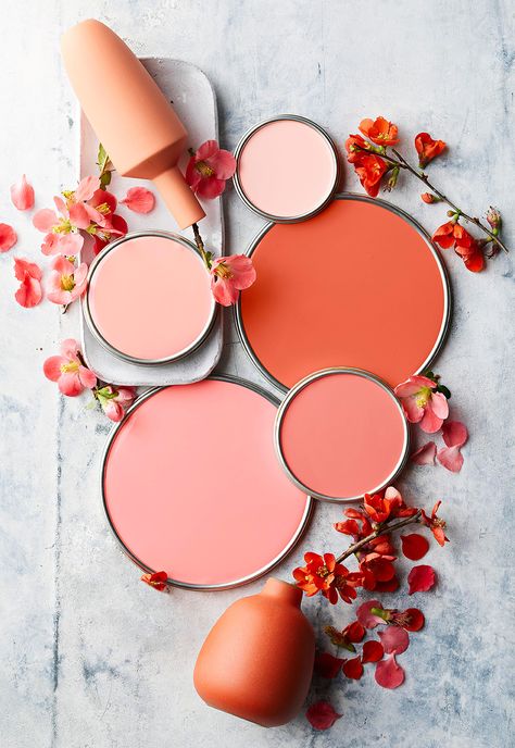 Coral Paint Colors, Orange Paint Colors, Pink Paint Colors, Paint Palettes, Trending Paint Colors, House Color Palettes, Perfect Paint Color, Paint Color Schemes, Paint Color Palettes