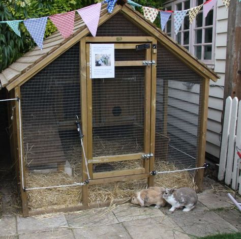 hutch Diy Bunny Hutch, Angora Bunnies, Rabbit Hutch Ideas, Rabbit Cages Outdoor, Diy Bunny Cage, Rabbit Shed, Rabbit Hutch Plans, Diy Rabbit Hutch, Rabbit Pen