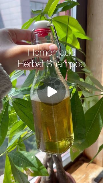 Diy Herbal Shampoo, List Of Herbs, Herbs For Hair Growth, Skin Recipes, Herbal Health, Castille Soap, Herbal Shampoo, Herbs For Hair, Diy Dry Shampoo