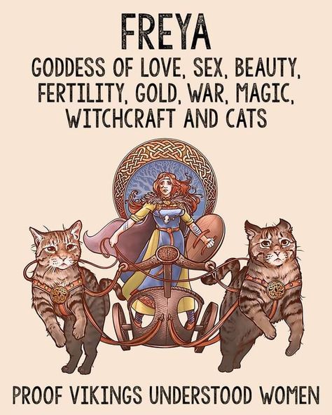 Norse Mythology Book, Philippine Mythology, Freya Goddess, Mythology Books, Norse Goddess, Pagan Gods, Cat Proofing, Witch Spirituality, Norse Pagan