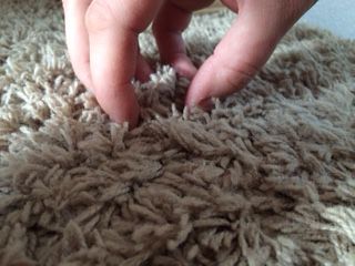 Spot Clean Area Rugs with this Magic Water Trick Cleaning Area Rugs, Magic Water, Carpet Cleaning, Spot Cleaner, How To Clean Carpet, Shag Rug, Seattle, Area Rug, Carpet