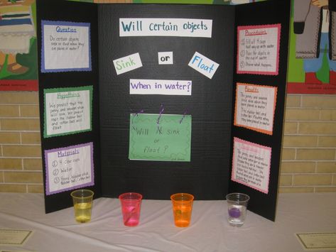 Sink Or Float Science Fair Project, Simple Science Fair Projects, 2nd Grade Science Projects, Winning Science Fair Projects, 5th Grade Science Projects, Kids Science Fair Projects, Kids Experiments, Prek Science, Science Fair Board